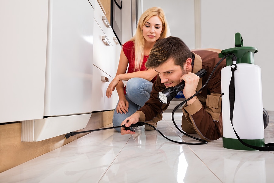 What to Expect During Your First Pest Control Appointment