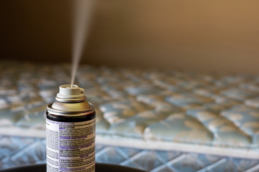 What to Expect During a Bed Bug Removal Service